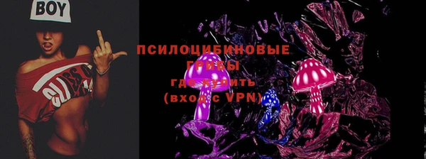 альфа пвп Горняк