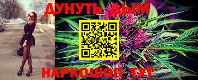 гидра Камышлов