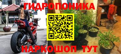 крисы Абинск