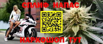 гидра Камышлов