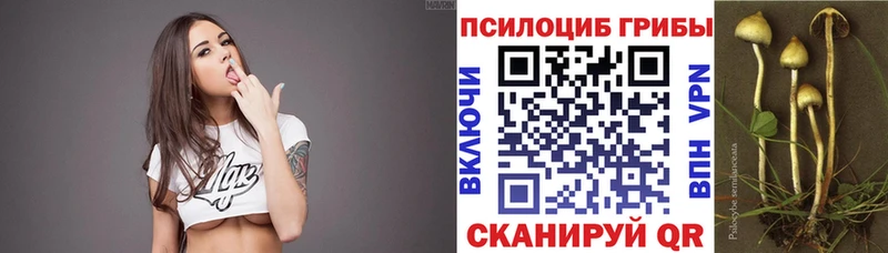 хочу наркоту  Медногорск  Галлюциногенные грибы мицелий 