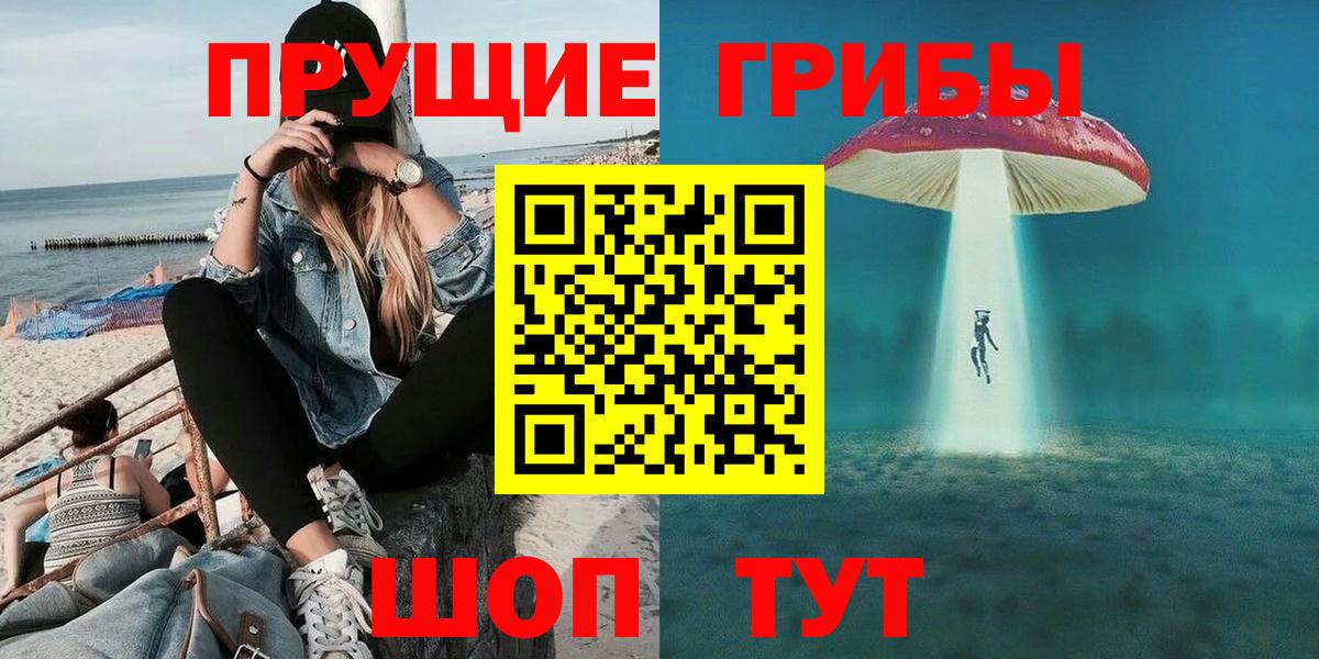 Псилоцибиновые грибы мицелий Медногорск