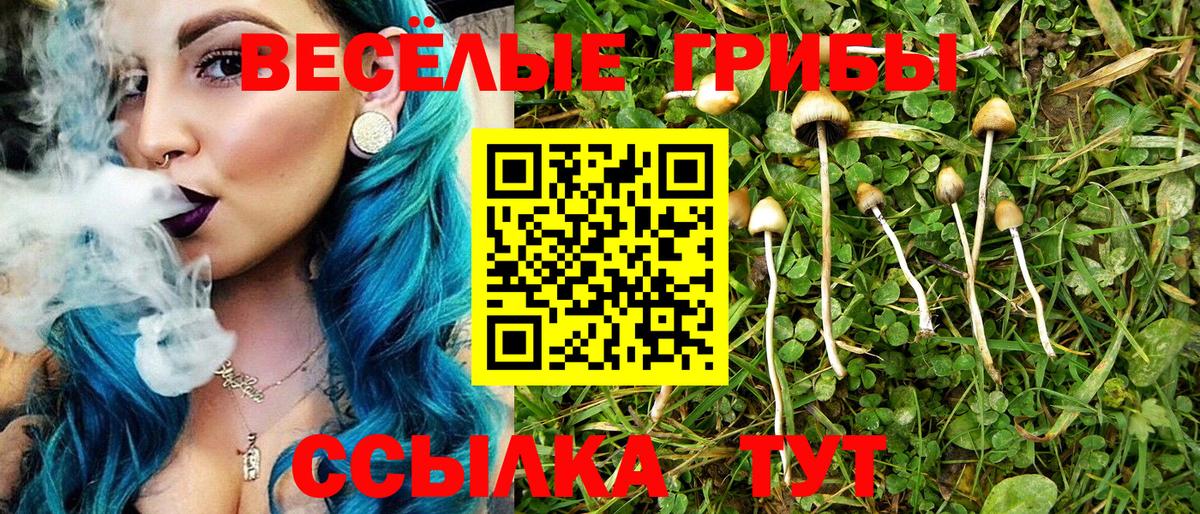 где продают   Медногорск  Галлюциногенные грибы Magic Shrooms  Псилоцибиновые грибы MAGIC MUSHROOMS 